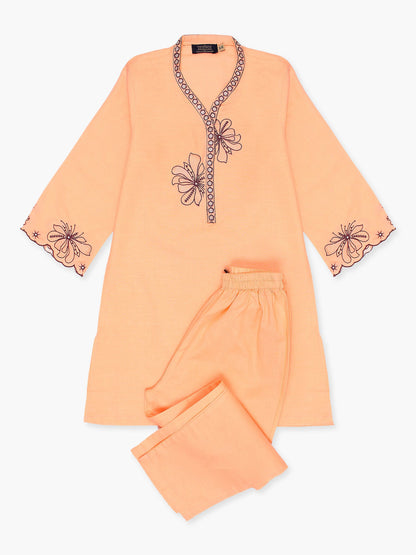 Girls Summer 2Pcs Embroidered Suit VG131-A