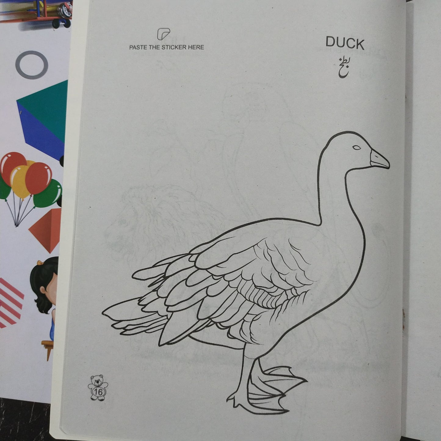 Animals And Birds Colouring Book with Stickers [CB-1014]