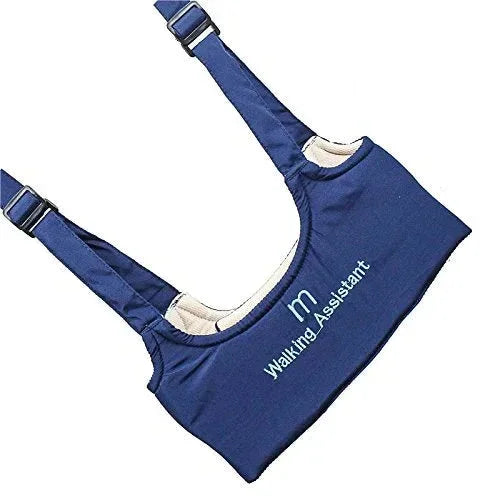 BABY CHILD LEARNING WALKING ASSISTANT WALKER TOY PlzPaPa