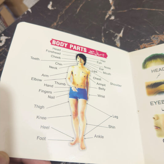 [Body Parts & Dresses] My First Book ,Educational Book For kids [BK-1025]