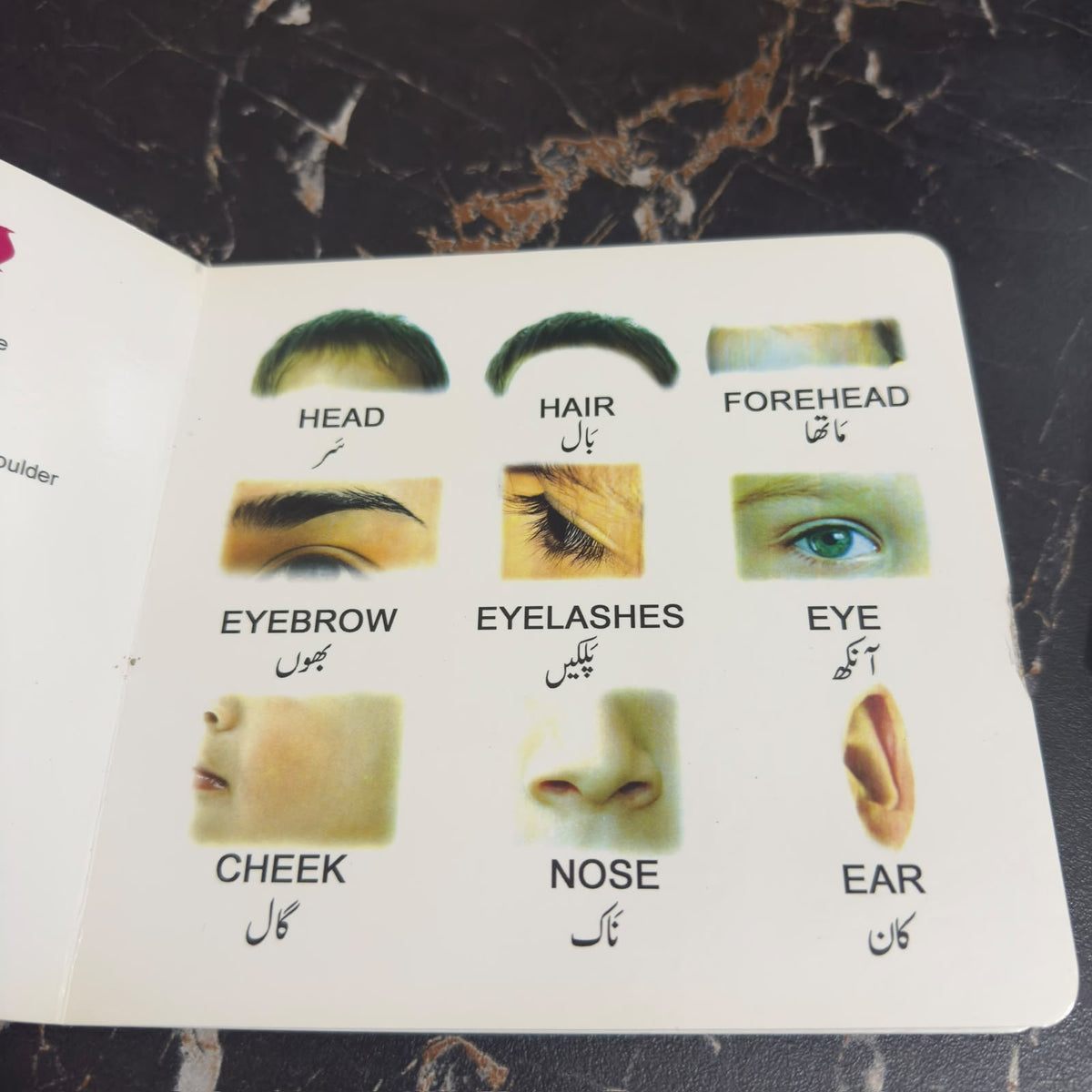 [Body Parts & Dresses] My First Book ,Educational Book For kids [BK-1025]