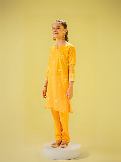 Girls Summer 2Pcs Embroidered Suit VG145-C